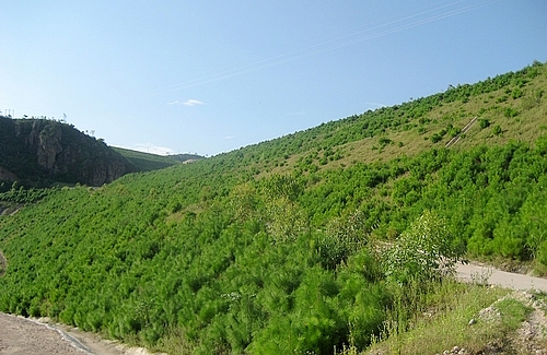 首页| 6008集团官方网站有限公司